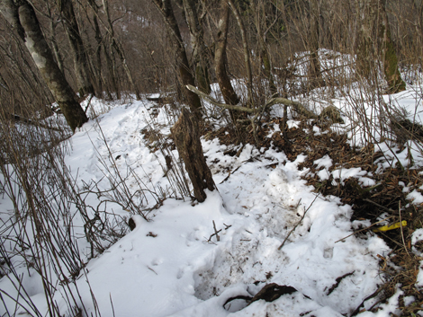 20160218hike (464)